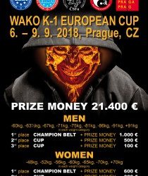 WAKO 2018